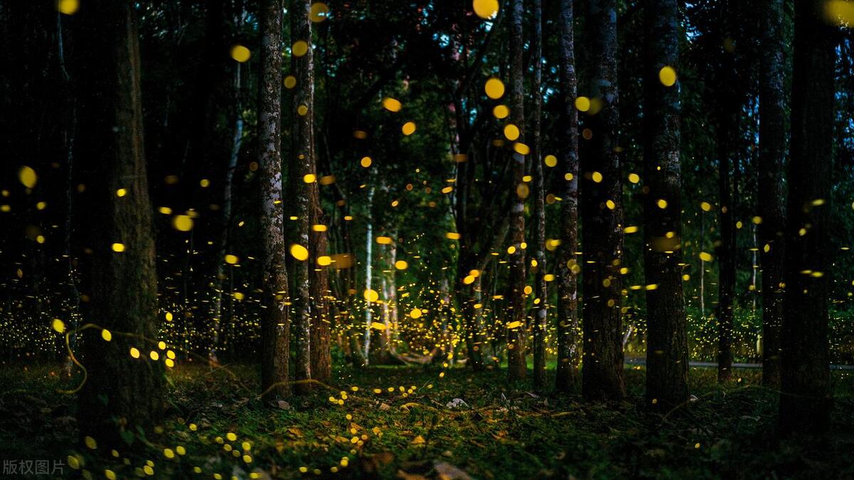 夏季旅游推荐3-4天游,夏天旅游攻略国内推荐3到4天