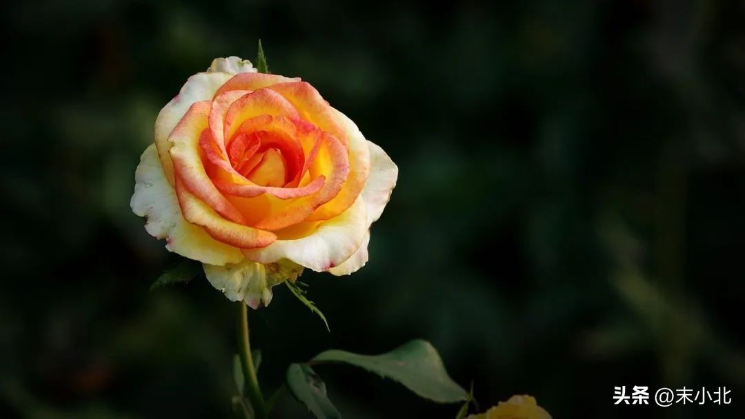 人到中年应该控制欲望享受孤独,人到了中年一定要懂得控制欲望