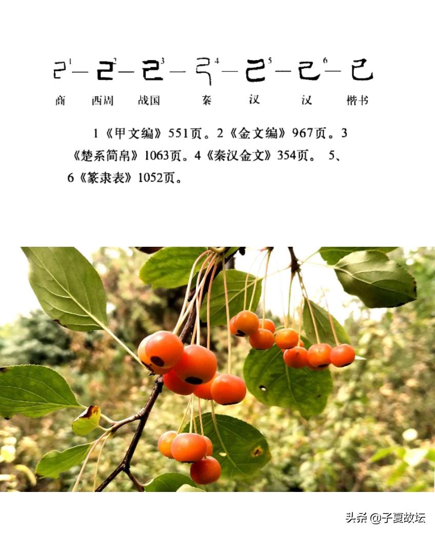 天干十个字的意义,十天干每字代表什么意思