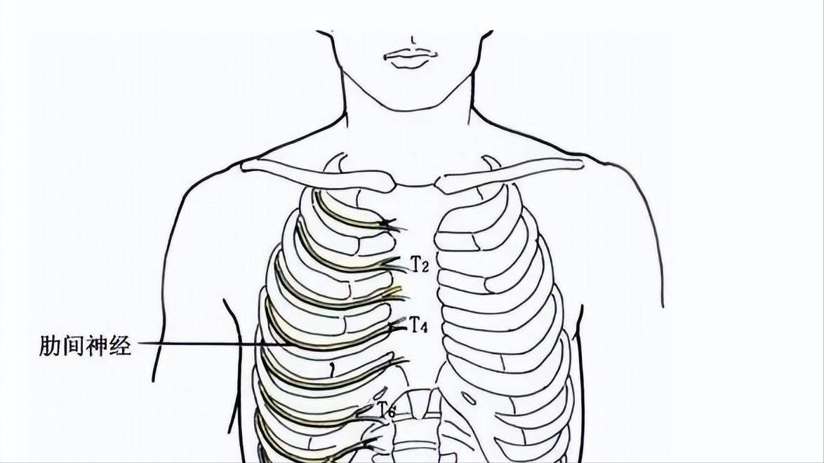 为什么有些人出现胸口“刺痛”几秒？这是心脏病吗？看完涨知识了