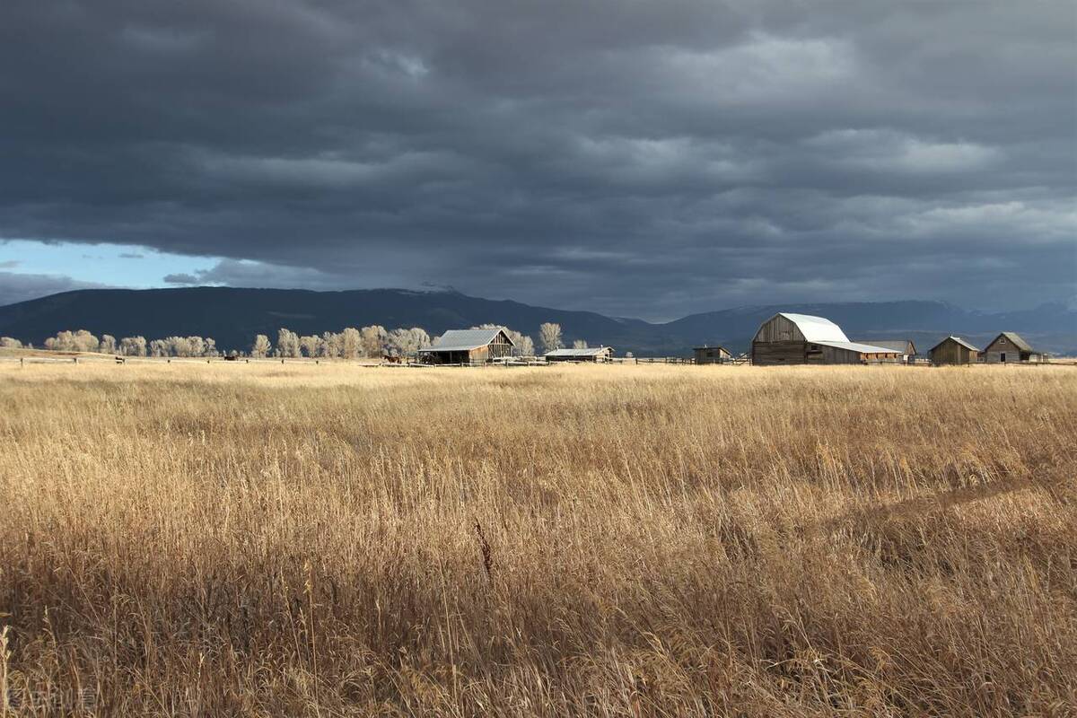 最大的遗憾就是遇到最好的人,人生最大的遗憾遇到一个特别的人