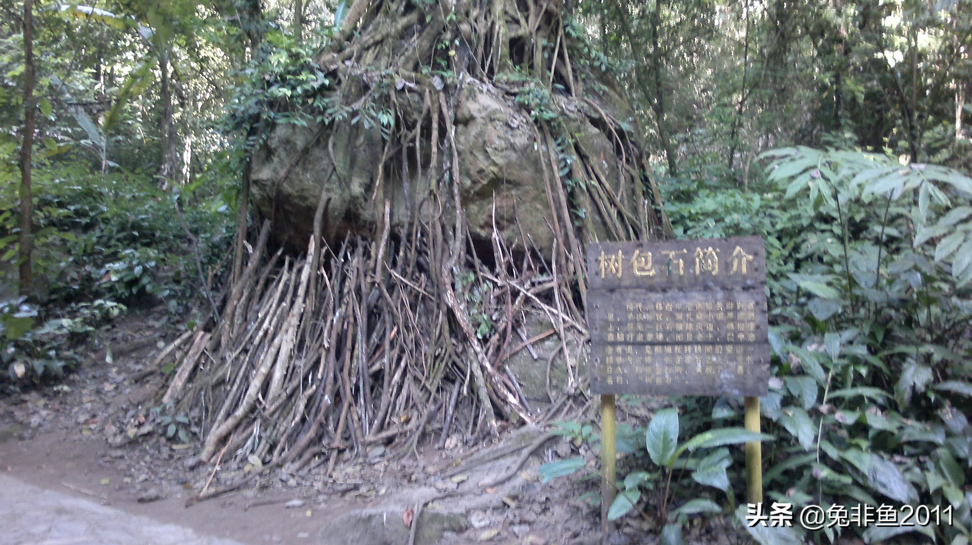 云南腾冲滇峰之旅,云南瑞丽中缅边境一日游
