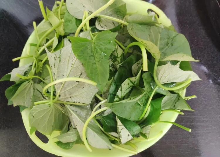 这5种绿叶菜，比牛奶含钙高，每天吃一把，全家老小钙都补足了