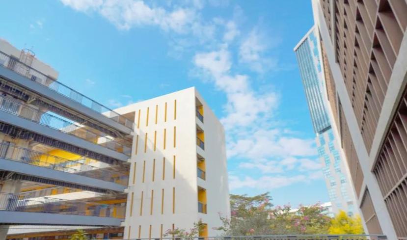 广东双一流专科院校排名,广东大专院校排名及分数线