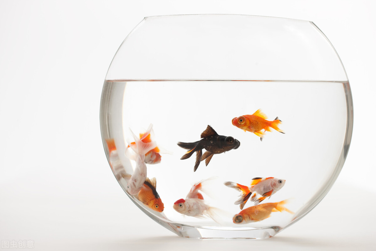 深圳代理记账公司获客渠道,代理记账公司如何快速获客