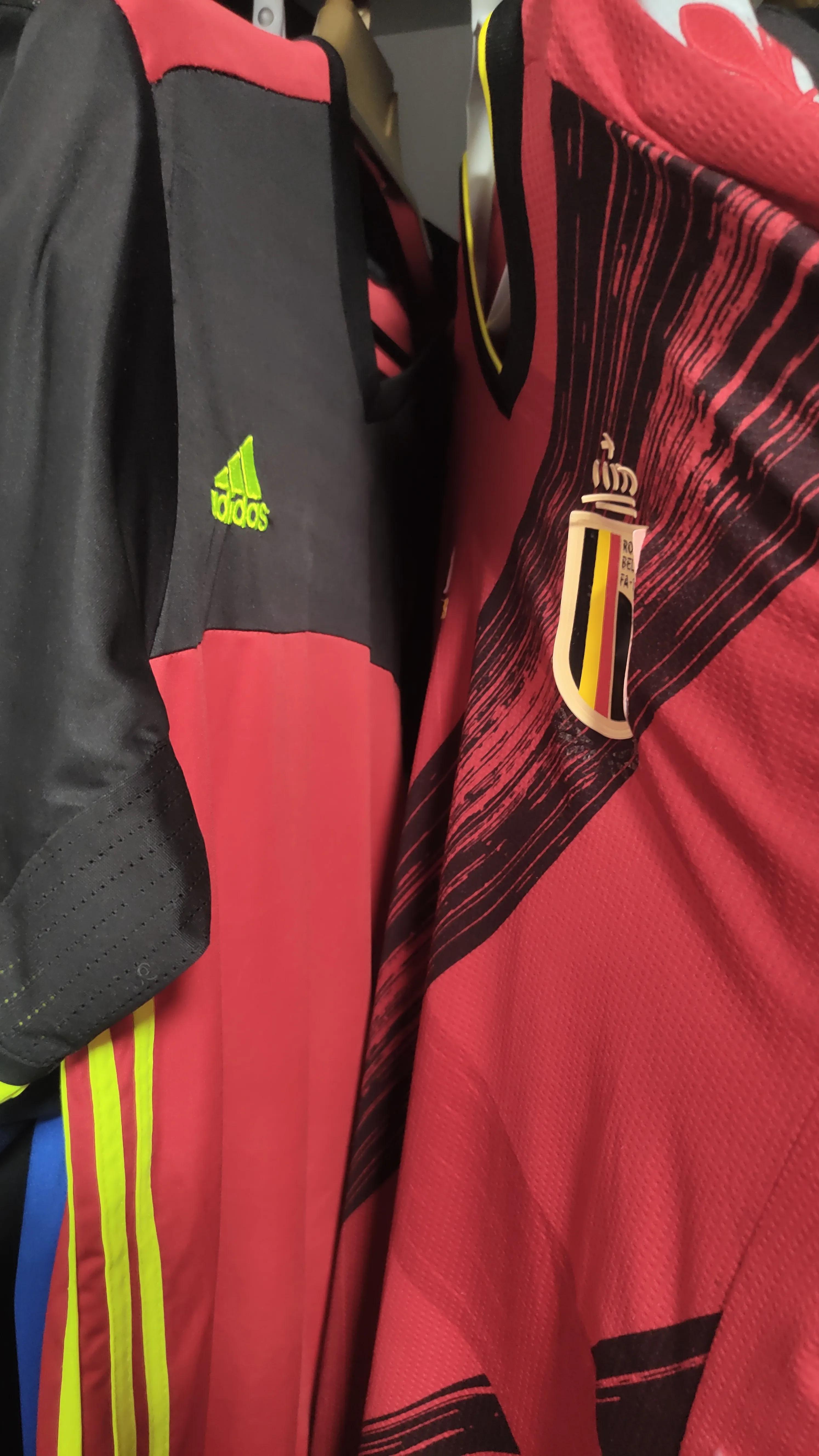 比利时黄金一代的巅峰时期,比利时的黄金一代照片