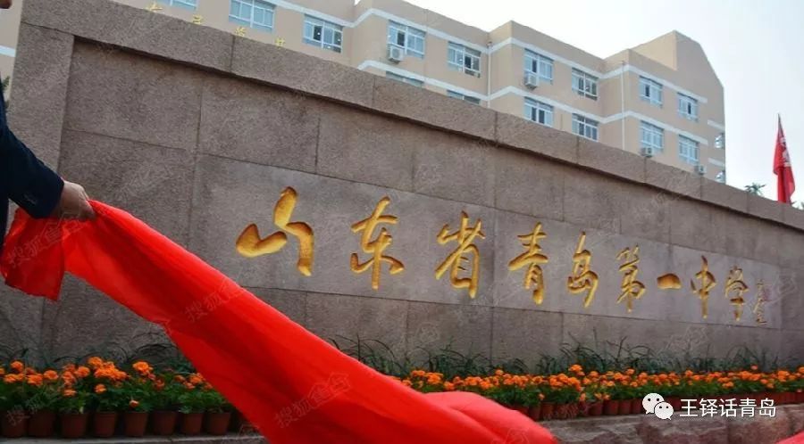 王铎长篇回忆录一蓑烟雨,王铎一蓑烟雨