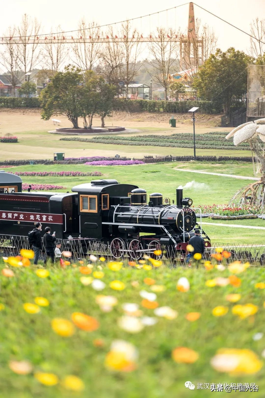 五一，光谷这些地方可以露营，还可以赏花、登山、看展……