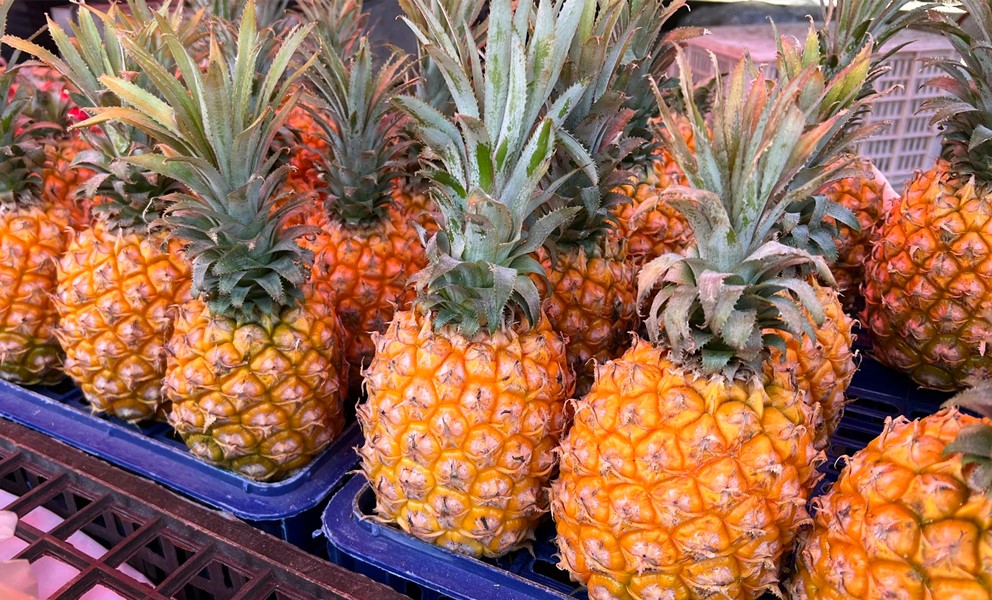 夏季遇到这碱性水果别错过,夏季多吃这六种碱性水果