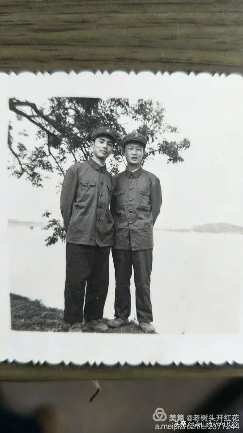 战友情深的美好句子,战友情经典语录