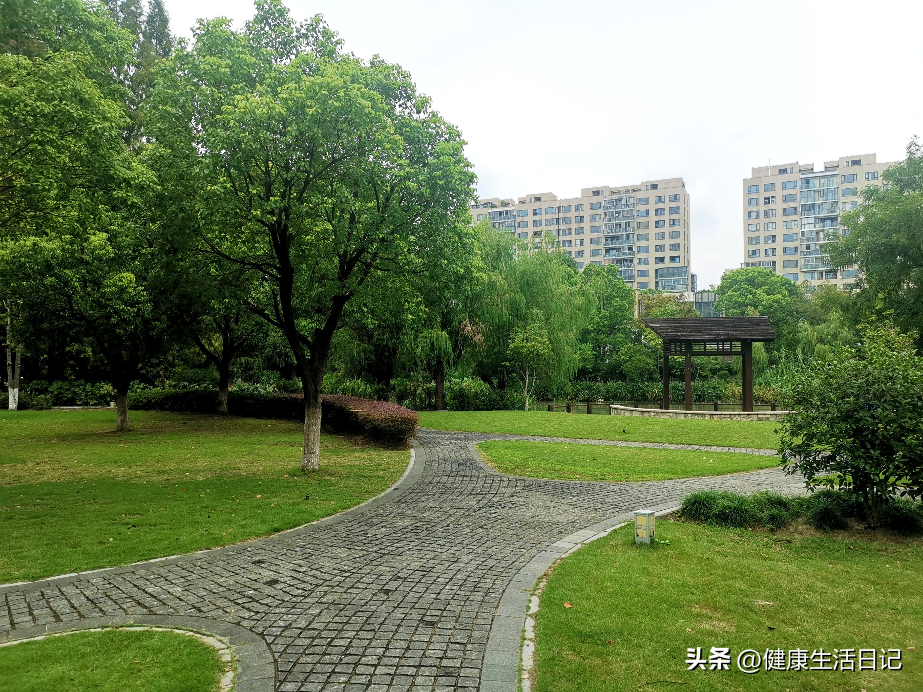 上海三林的公园,上海浦东三林公园在哪里