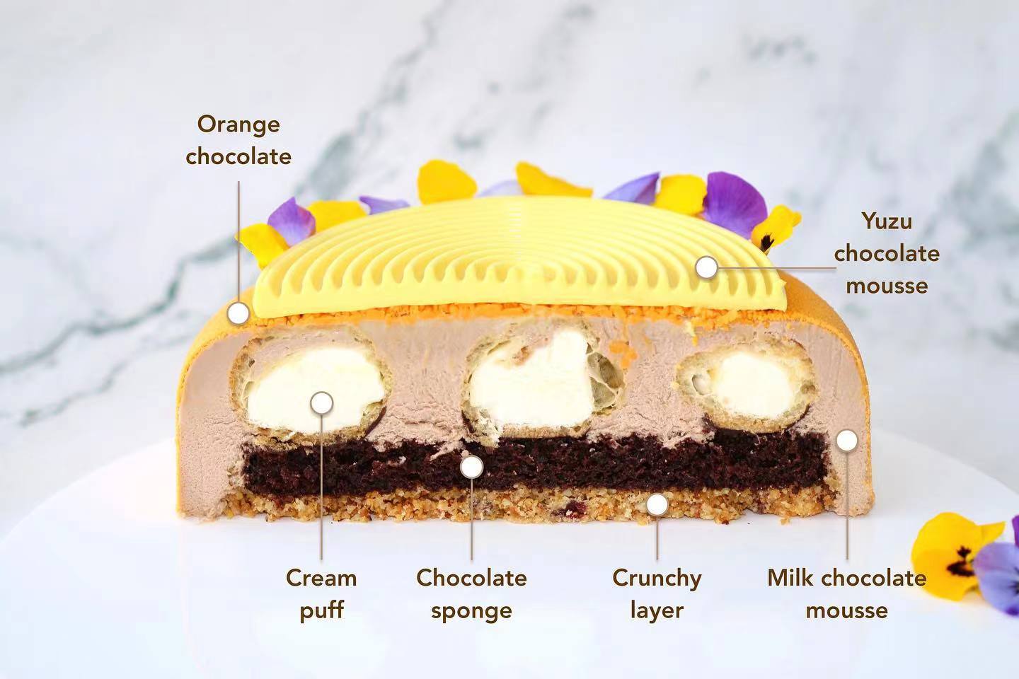 蛋糕切面,蛋糕两层夹心切面图片