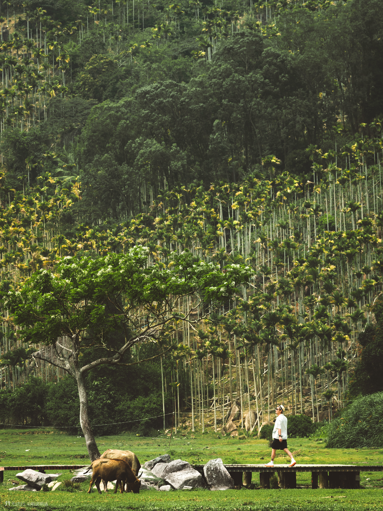 夏天来了一定要来一场草原之旅,这个夏天让我们玩转大草原
