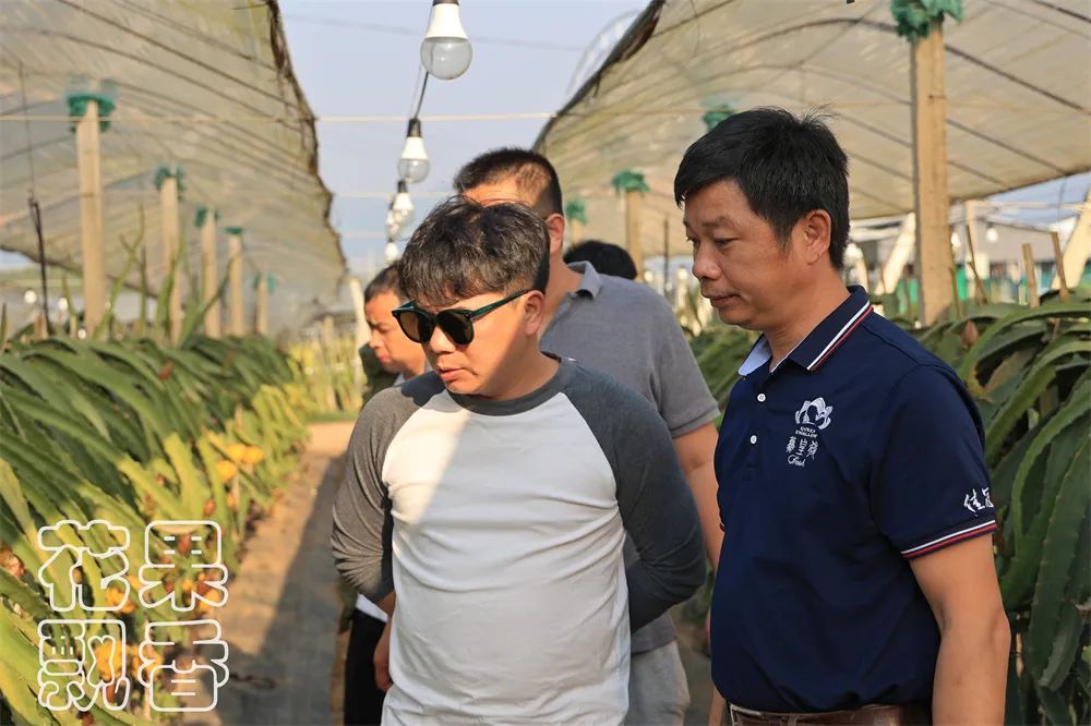 冬季好卖的水果有哪些,比较容易卖的水果有哪些