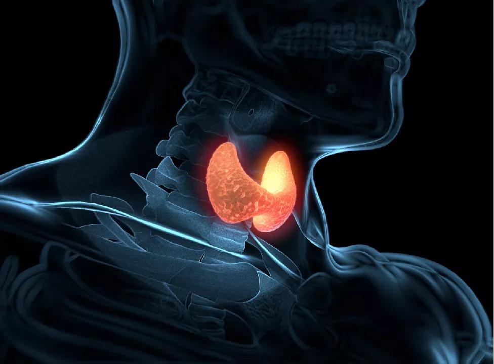 日本干细胞治疗甲减,干细胞移植可以治愈甲减吗