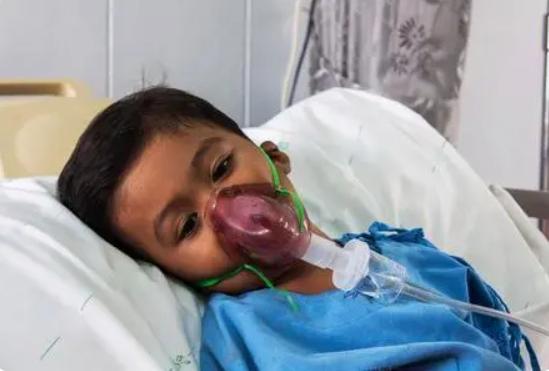 土方法灭蟑螂怎么正确消灭最彻底,灭蟑螂误区及正确的灭蟑螂方法