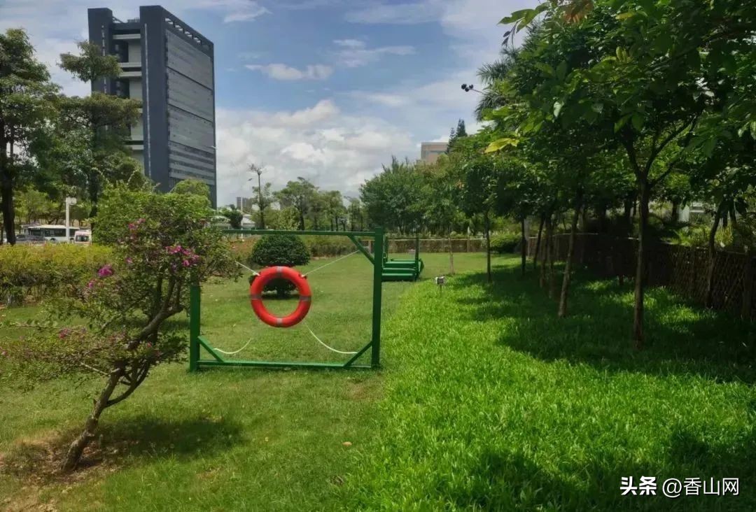 珠海宠物可以去的公园,珠海香山湖公园让遛狗吗