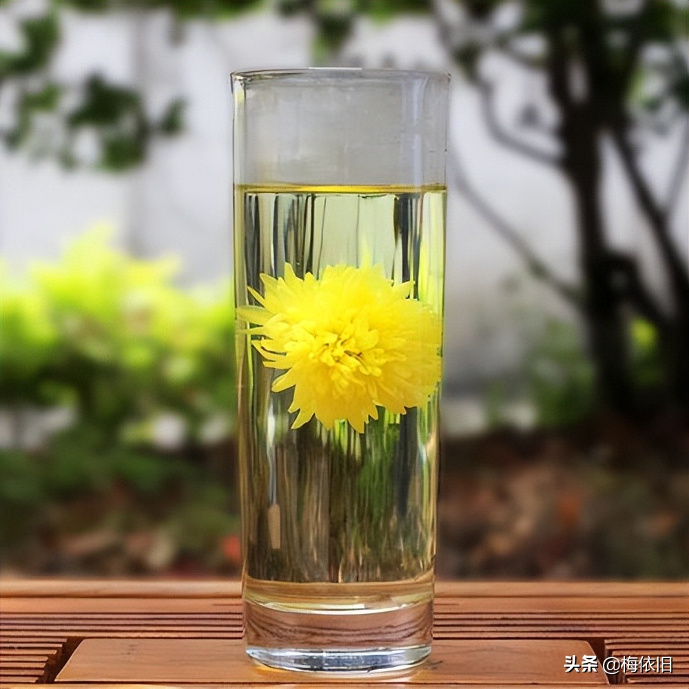 最有特色的菊花,哪种菊花最好吃