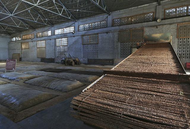 洋河天之蓝海之蓝梦之蓝哪个较贵,洋河蓝色经典和海之蓝哪个好喝