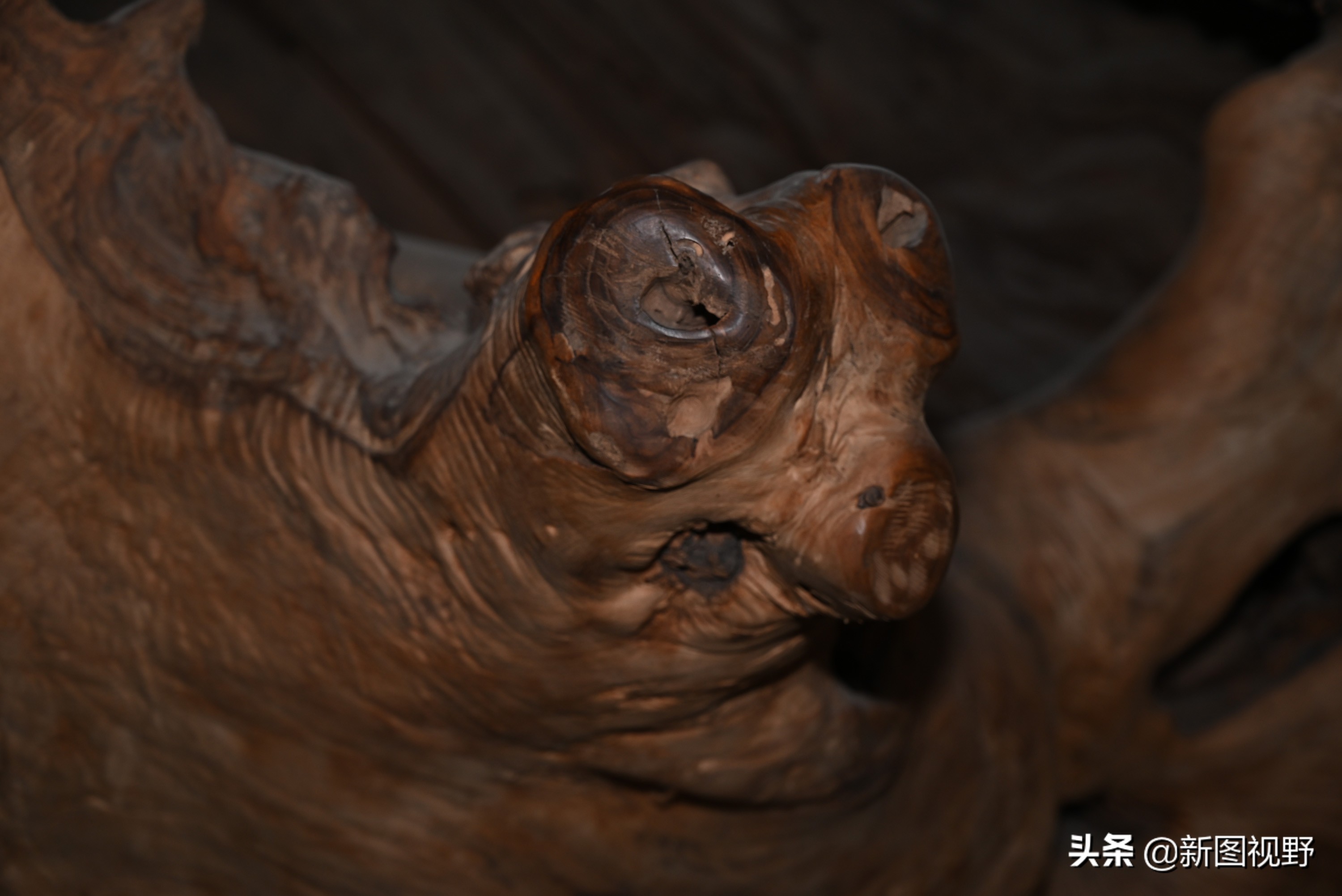 54岁农村大哥，把枯木当宝贝，13年来只收不卖，看他做啥生意