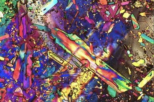 显微镜观察人体的四种组织图片,人体显微镜下的样子