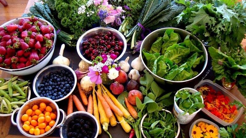 科学合理瘦身食谱,健康瘦身饮食科普