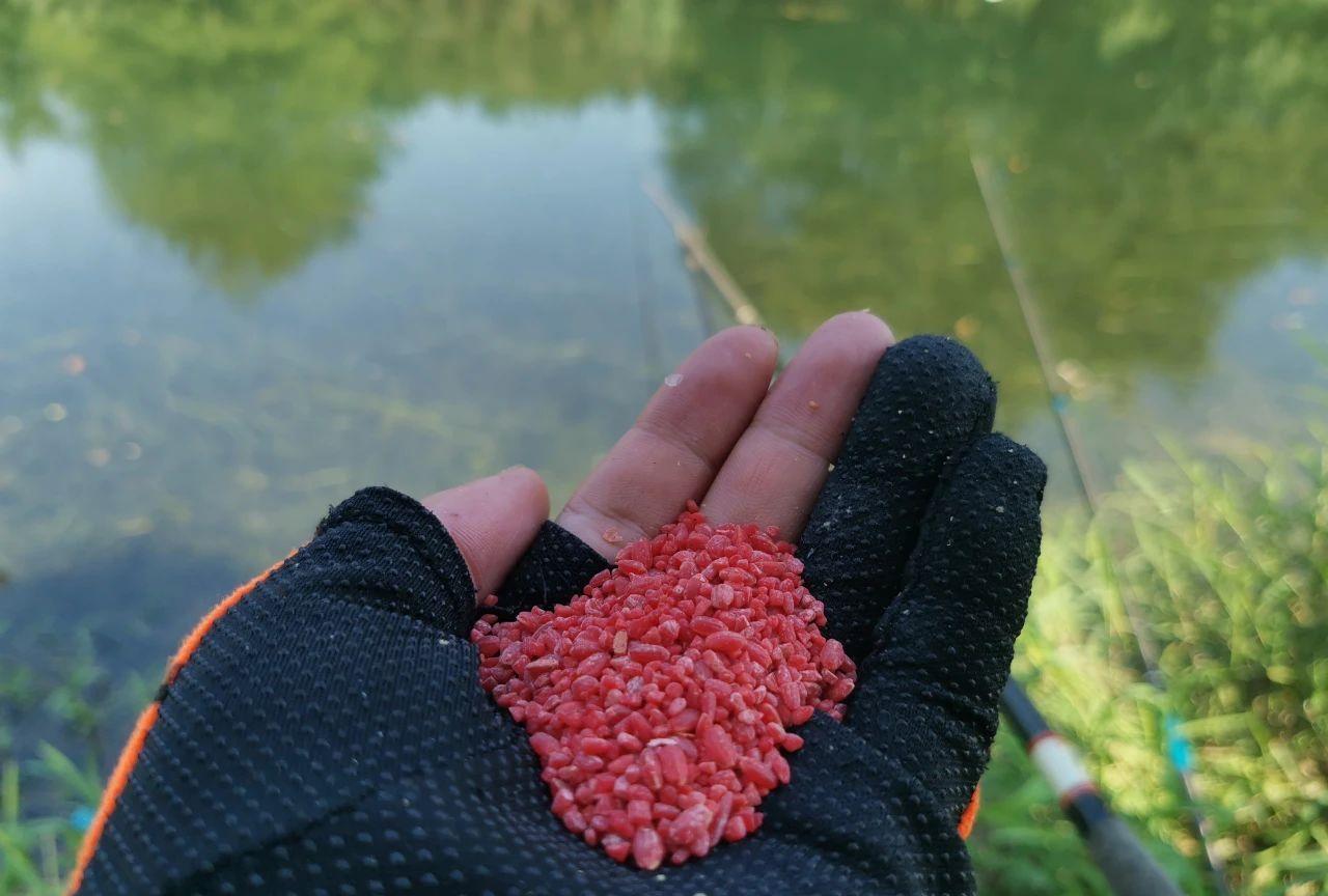 野钓鲫鱼酒米怎样制作,夏季野钓鲫鱼酒米怎么制作效果好