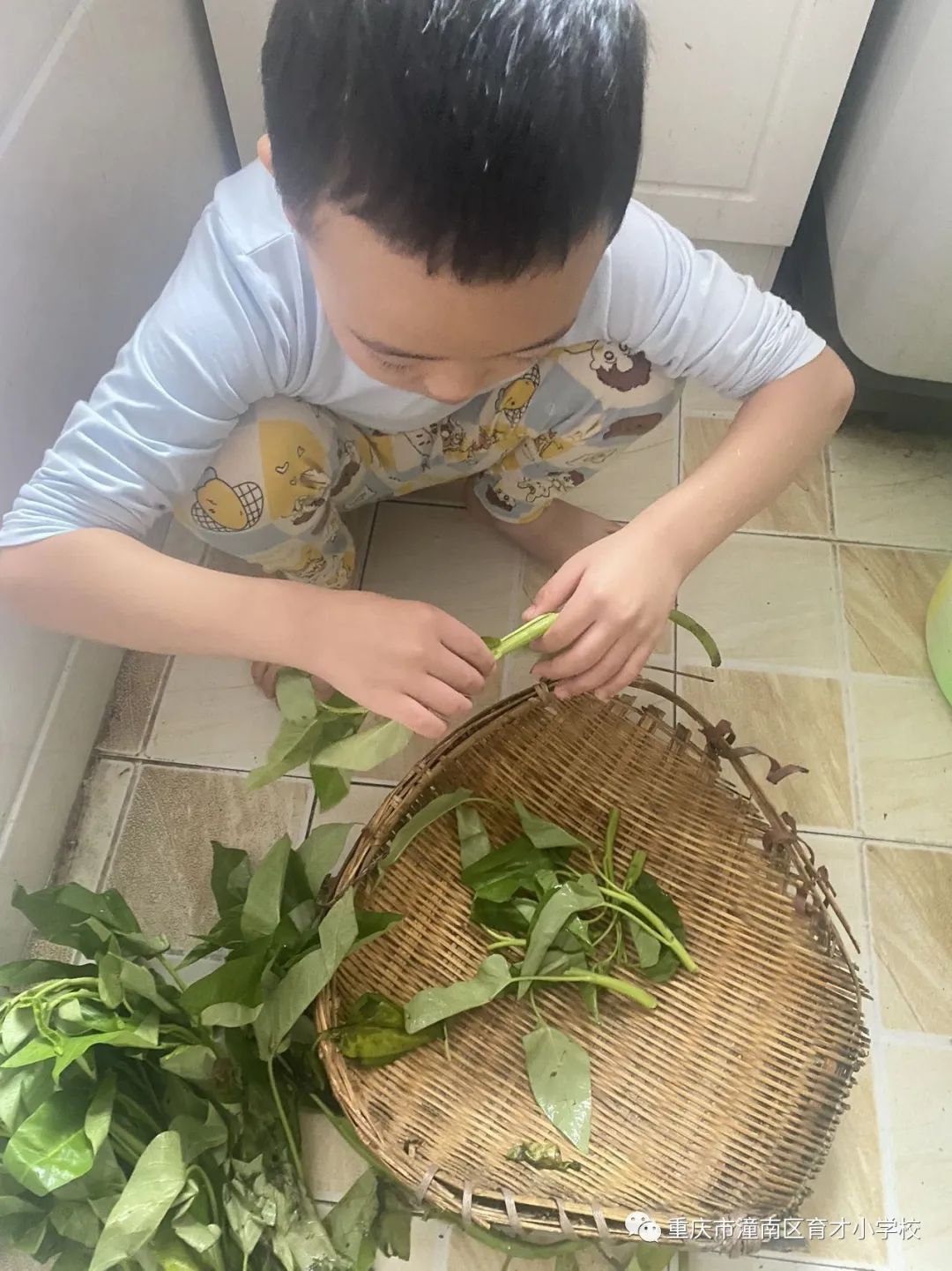 重庆劳动教育小学,重庆市潼南区育才小学的图片