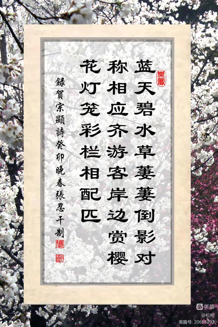 百花园（十六）樱蕾暗香溢