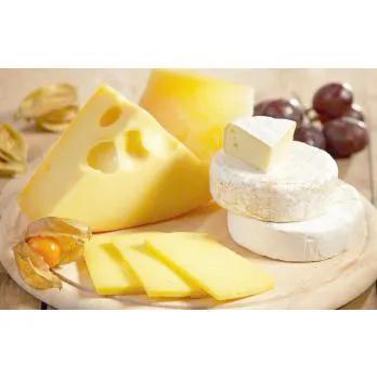 北方游牧民族演变史结构图,北方游牧演化史简介