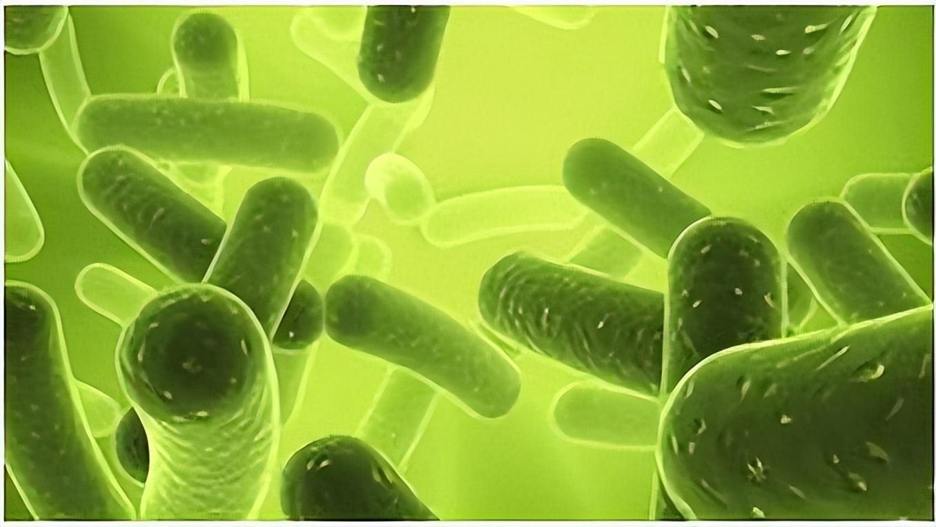 阴道炎是很严重的妇科疾病嘛,阴道炎的八大危害