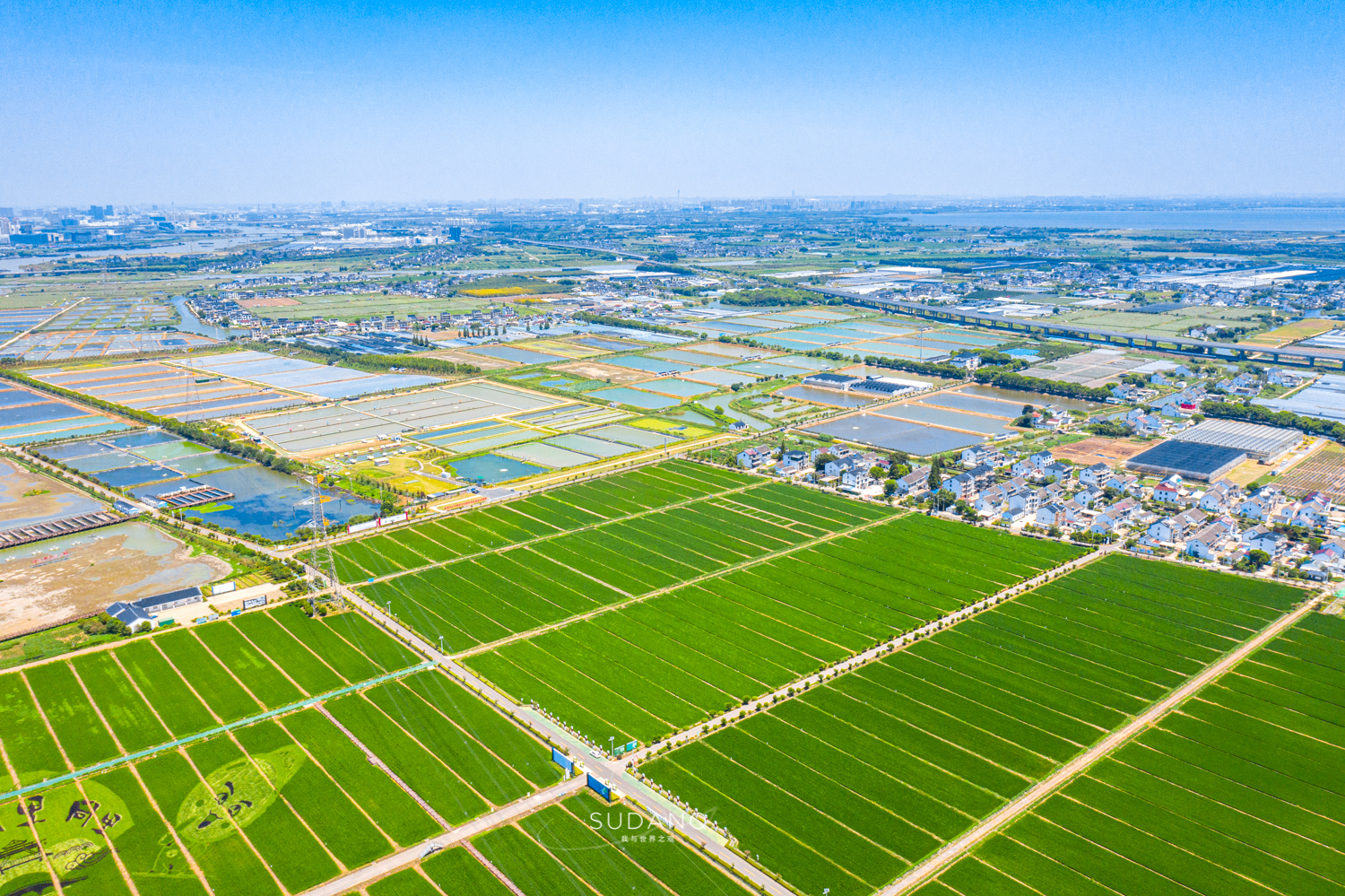 苏州吴江区六大名镇,苏州吴江最有发展区是哪里