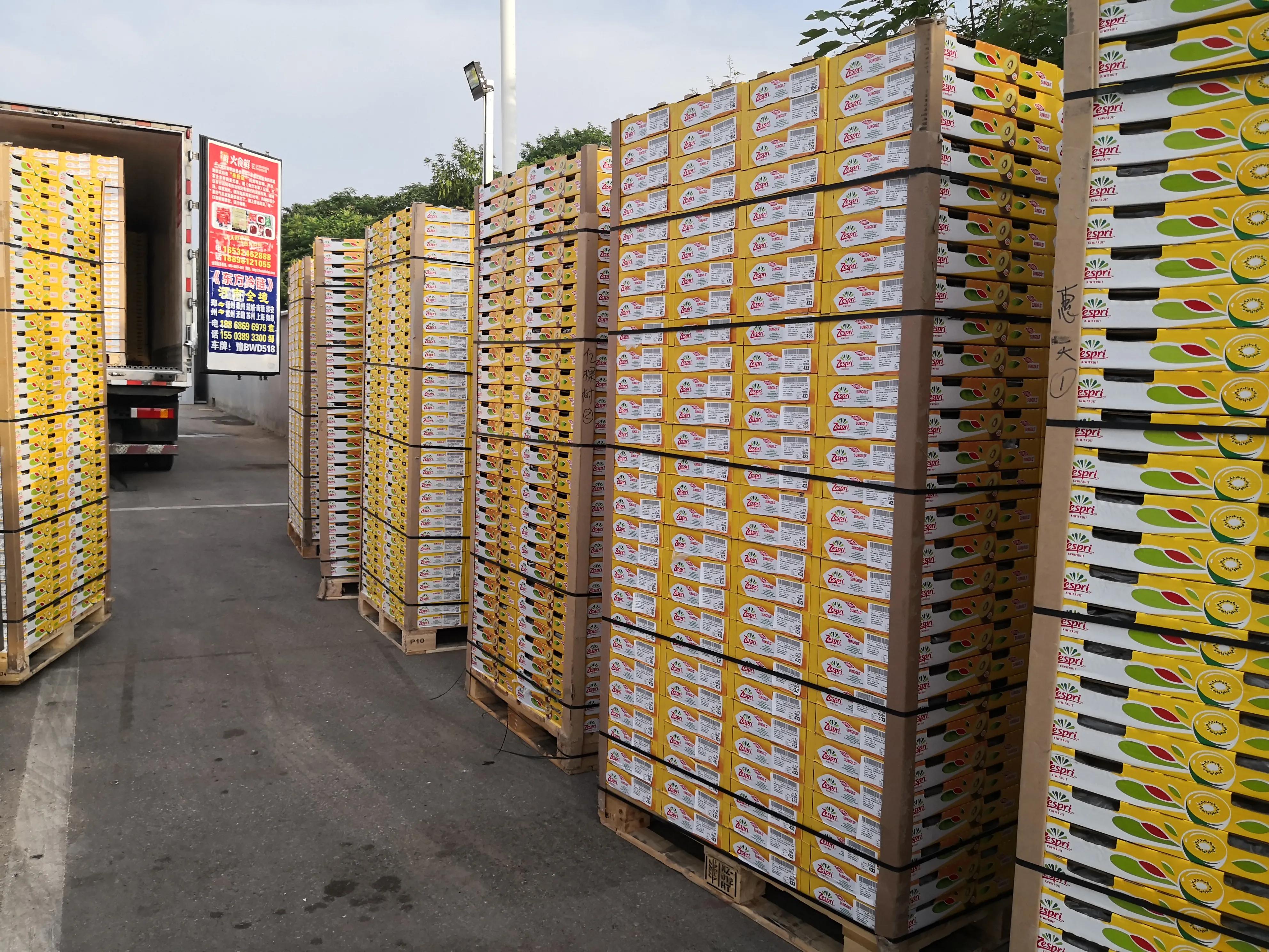 新西兰的国宝之——黄金果