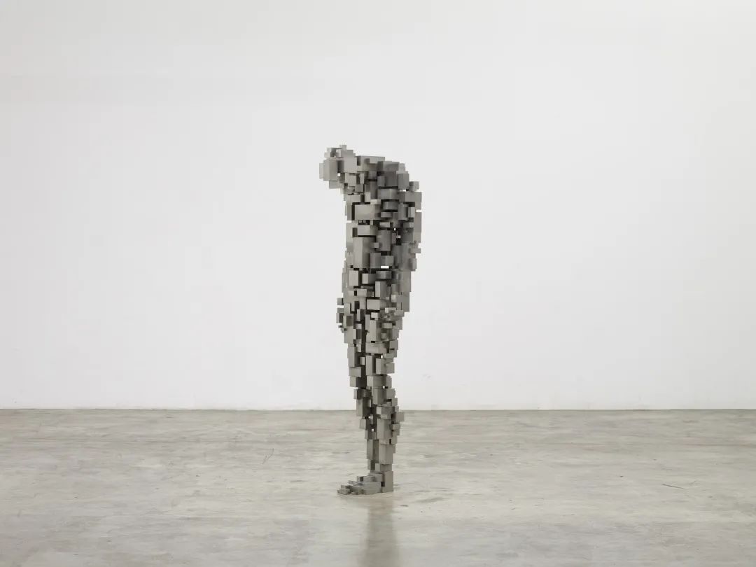 最极致的体型,世界最高身材