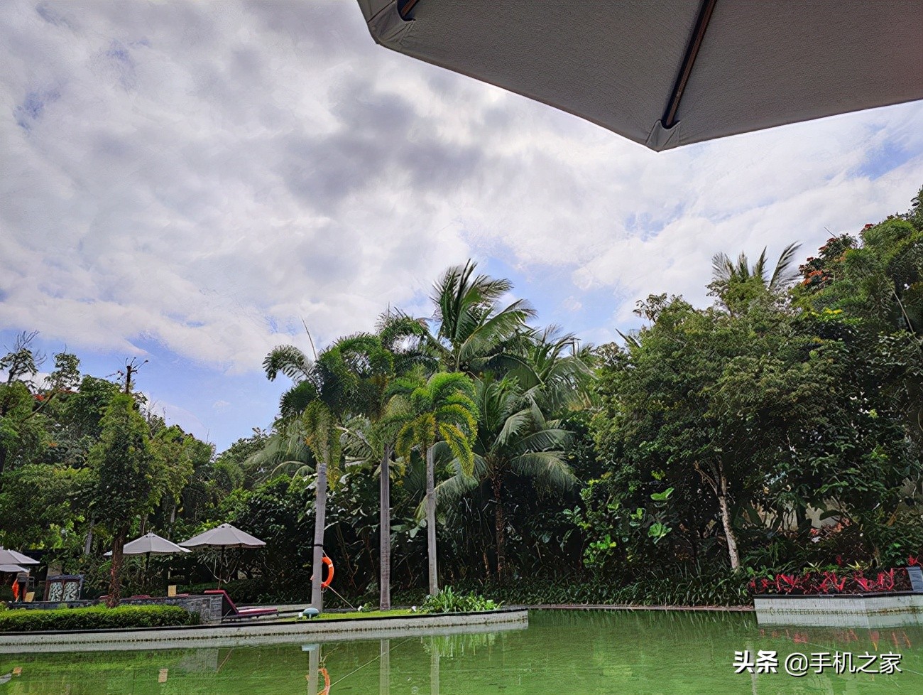 职业选手如何评价一加10pro,职业选手怎么评价一加10pro