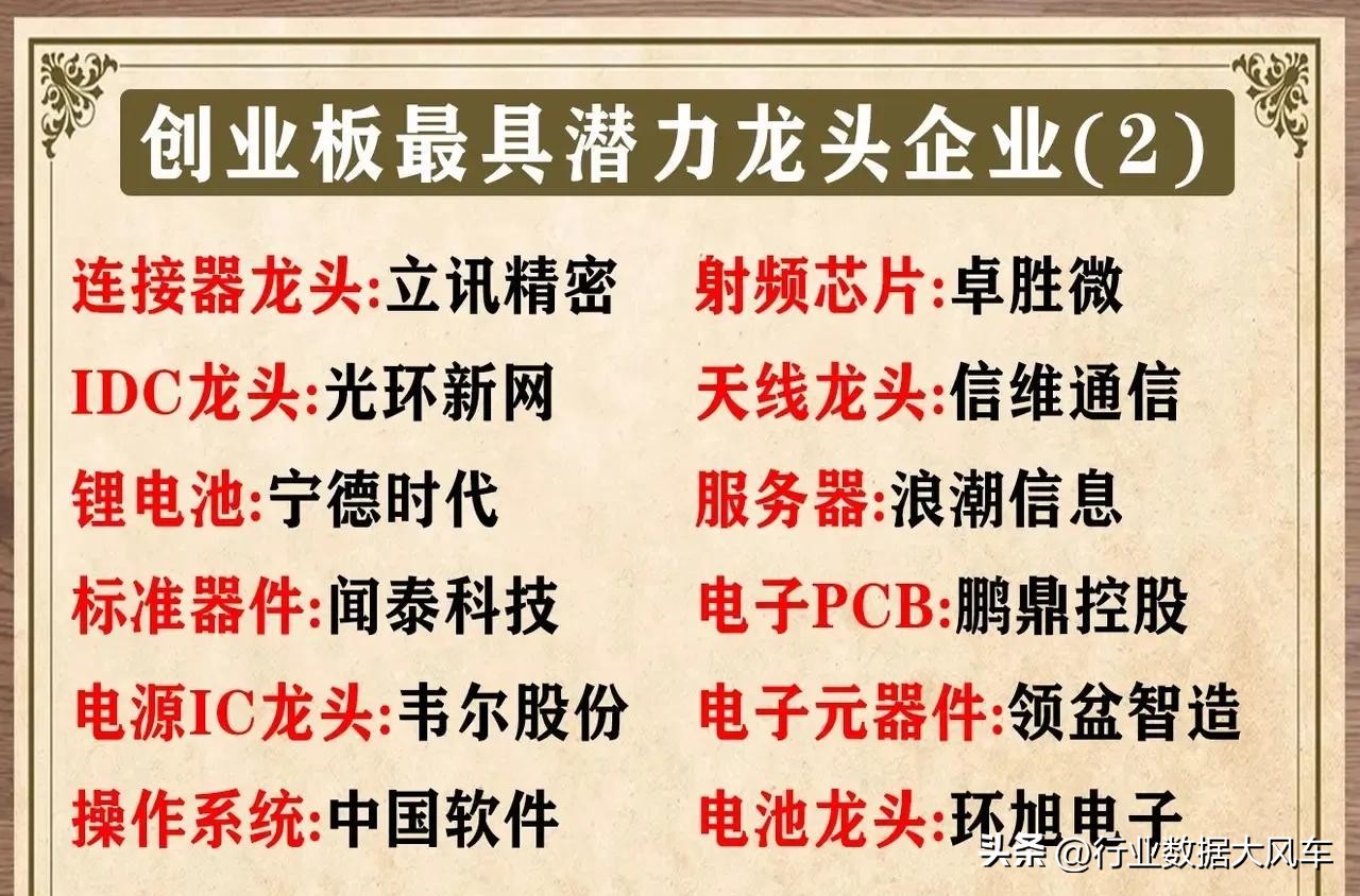 创业板龙头股票有哪些,今天创业板的十大龙头股