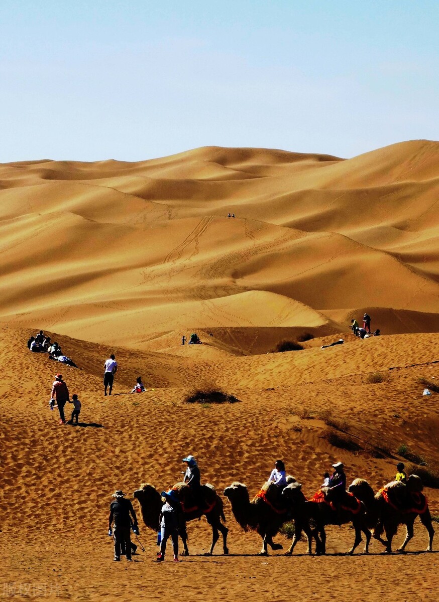 清平乐村居视频赏析,清平乐村居古诗诗意简短