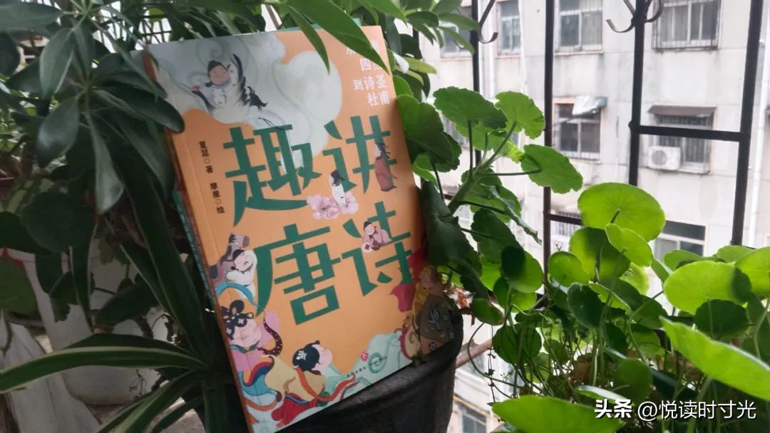 解读最美唐诗宋词,唐诗宋词经典推荐及阅读心得