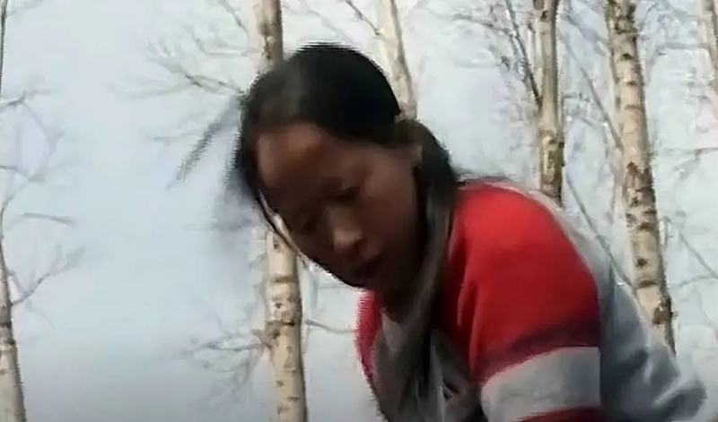 95年吉林农妇好心救毒蛇,吉林农妇好心收养毒蛇