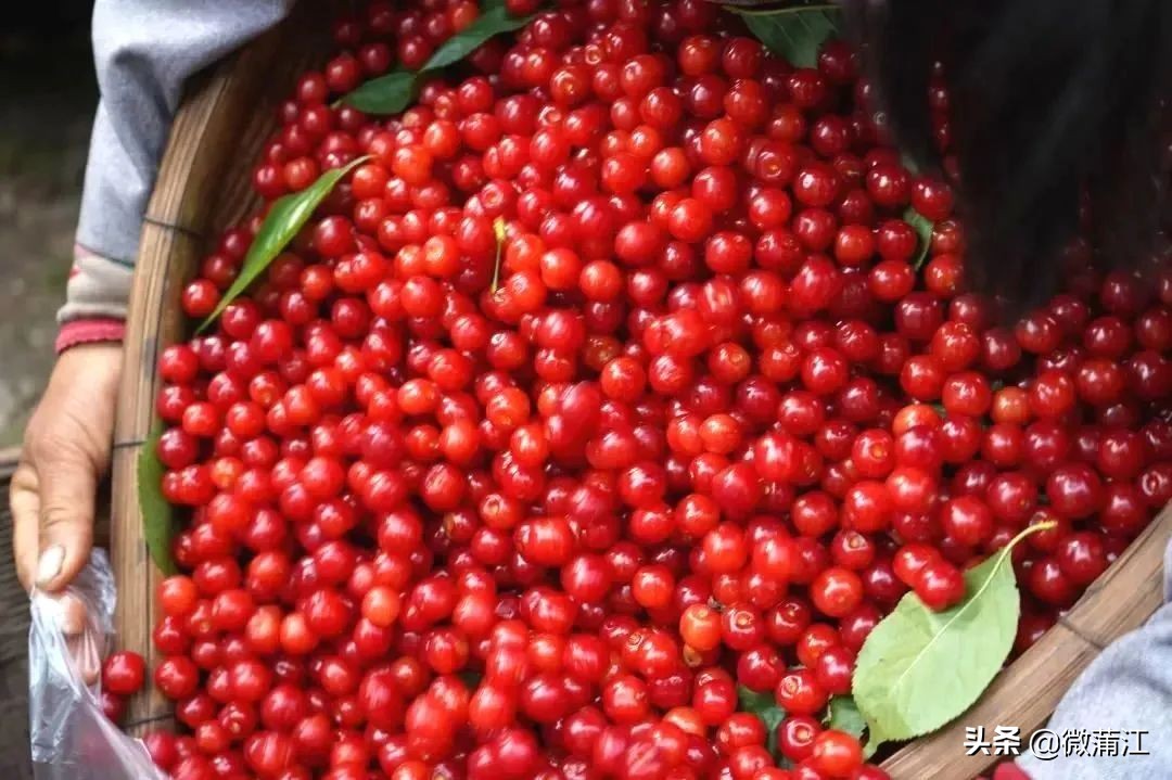 爱摄影的你,爱拍照的你记录生活每一天