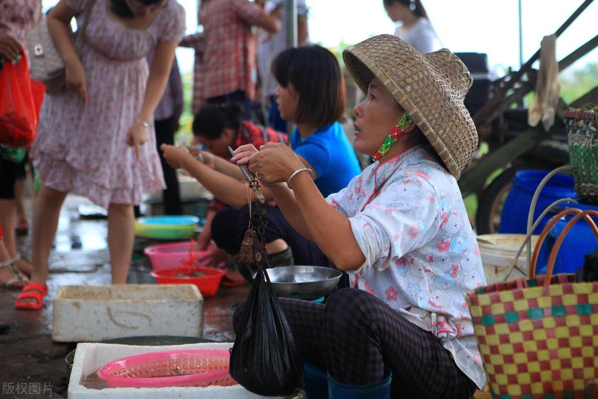 海南澄迈红树湾定居真实感受,外地人感受海南人的纯朴