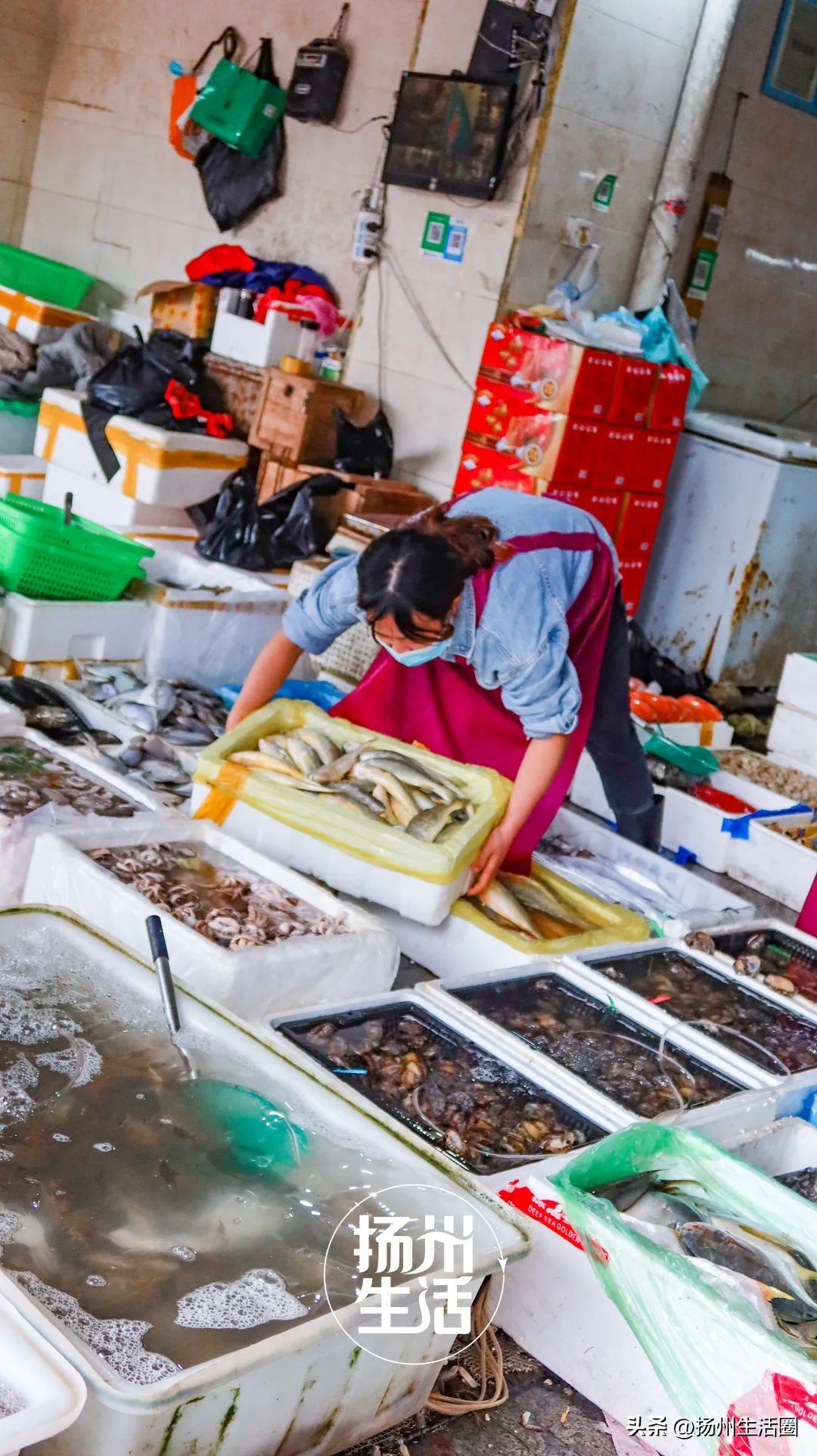 不吃一顿螃蟹，扬州人过不好这个秋天