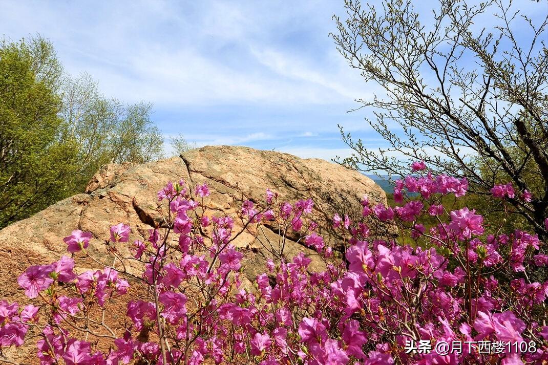 常宁的抗战历史,常宁抗战历史