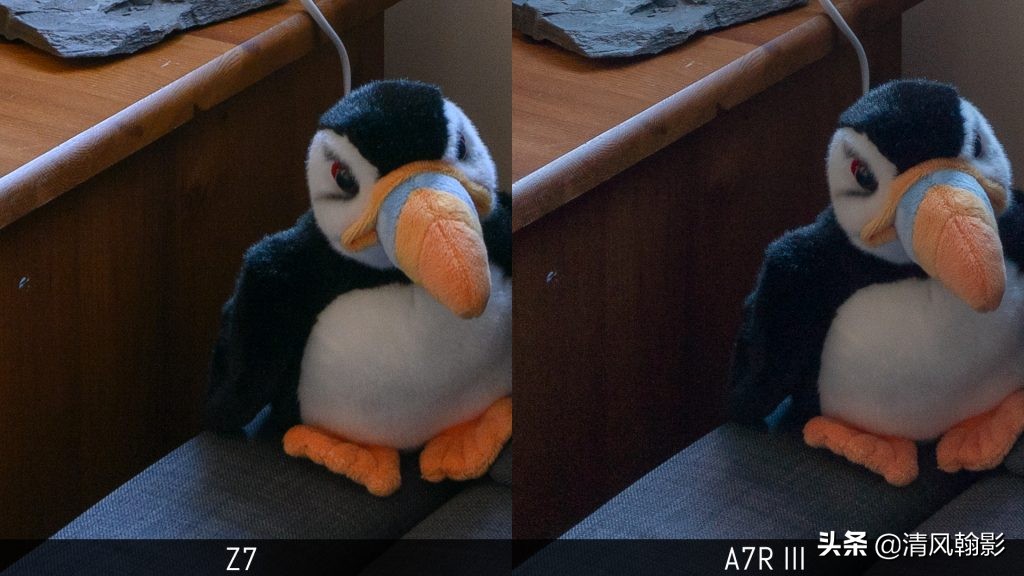 拍鸟用尼康d6好还是z7ii好,拍鸟买r6还是r5