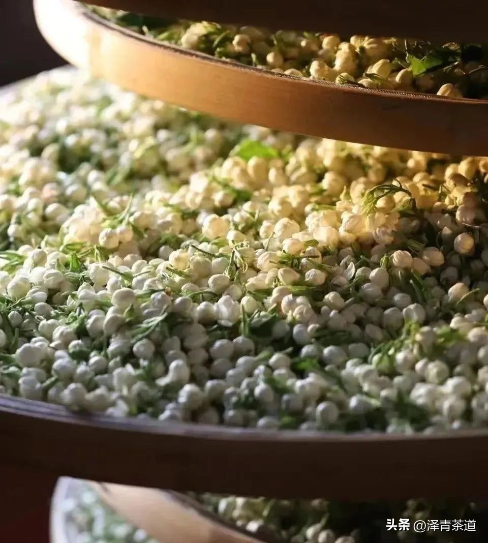 中国茶叶第一产茶大省,陕西中国茶叶第一大省