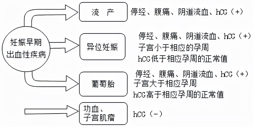 备孕妈妈请注意：警惕各种流产