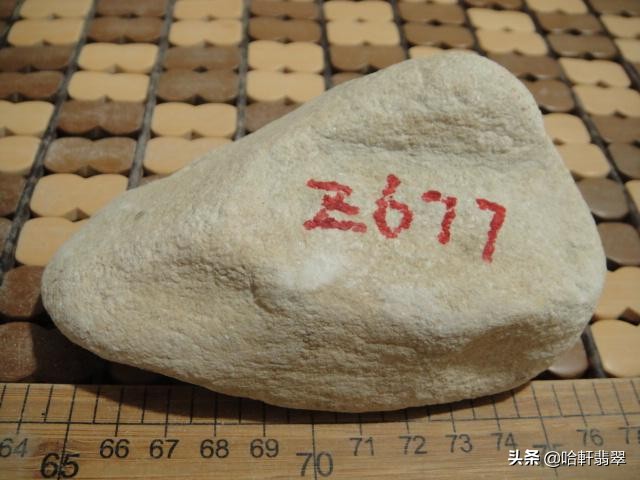 赌石暴涨的帝王绿料子,大涨的黑皮壳翡翠大原石