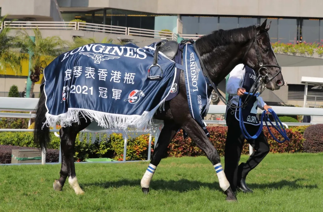 单日投注额17.28亿：1亿港元奖金香港国际赛事落幕