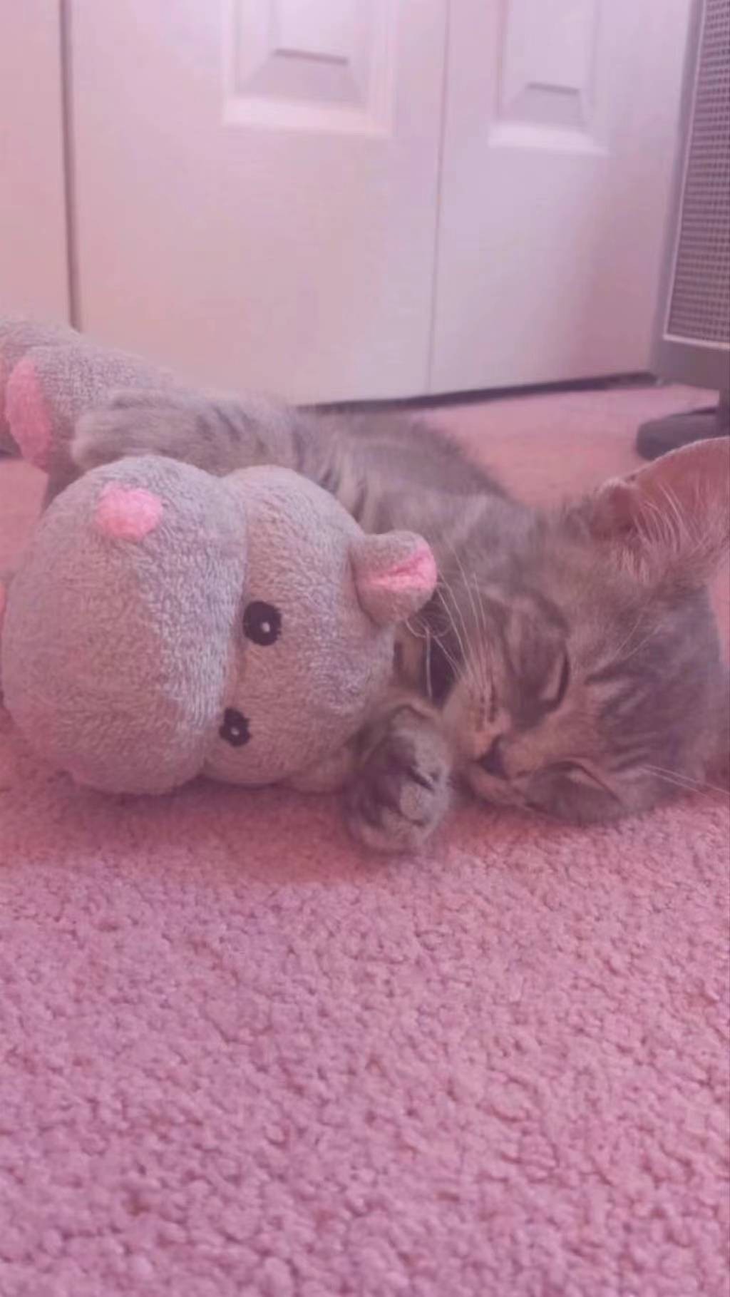 聊天万能回复背景图超清微信,微信聊天背景图卡通可爱简约