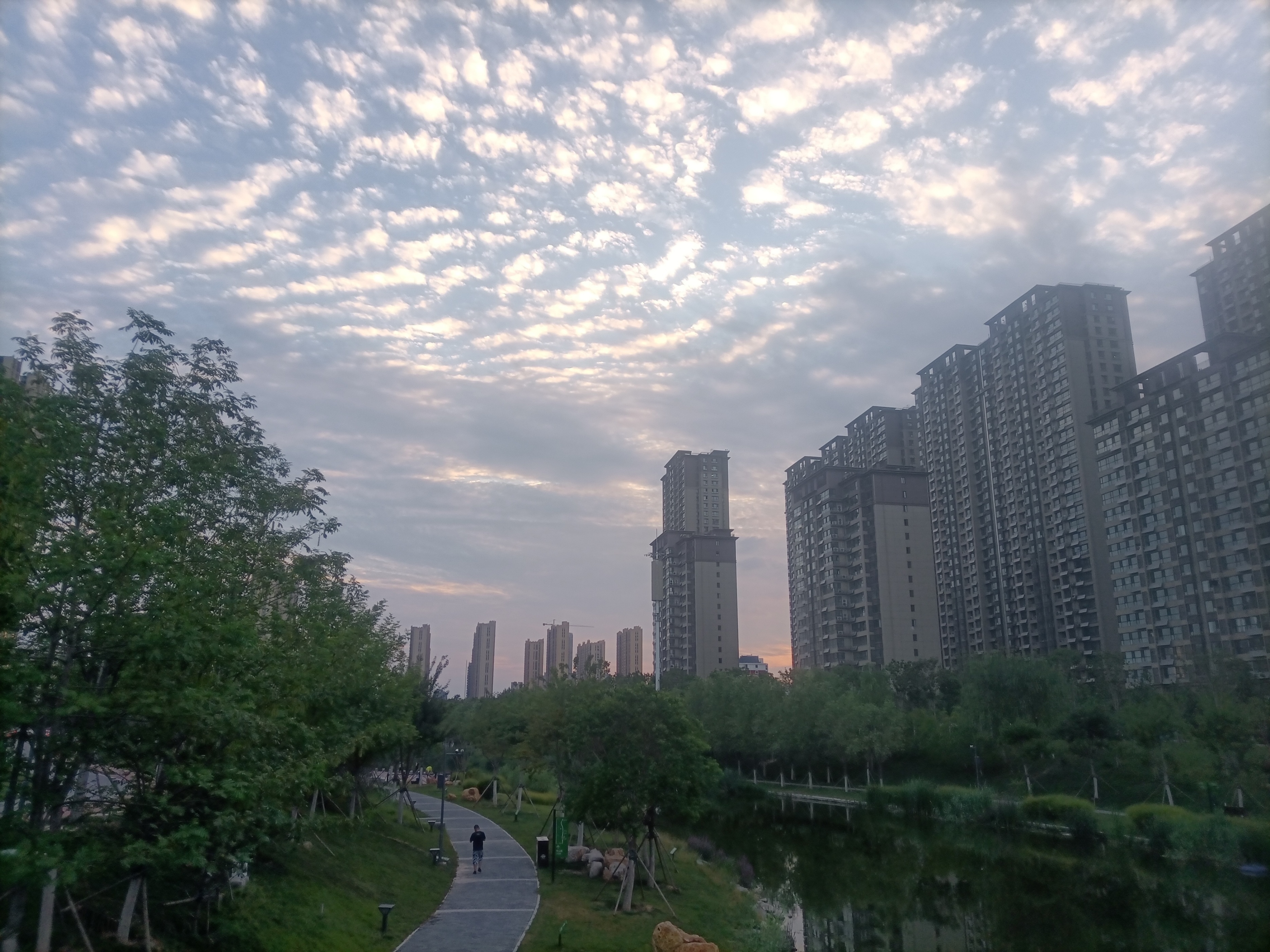 菏泽：你知道“天空鲤鱼斑，明天晒谷不用翻”的意思吗？